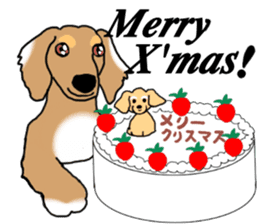 Miniature Dachshund COOKIE sticker #13541930