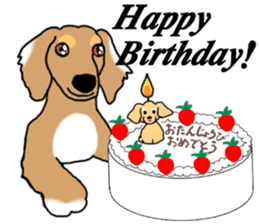 Miniature Dachshund COOKIE sticker #13541931