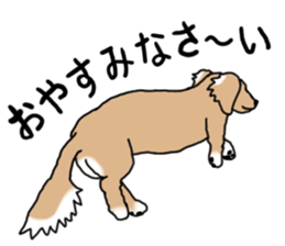 Miniature Dachshund COOKIE sticker #13541932