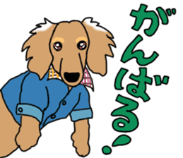 Miniature Dachshund COOKIE sticker #13541935