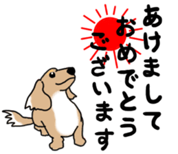 Miniature Dachshund COOKIE sticker #13541936