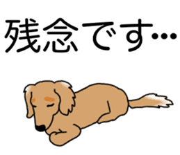 Miniature Dachshund COOKIE sticker #13541937