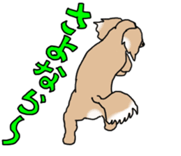 Miniature Dachshund COOKIE sticker #13541938
