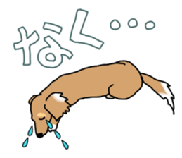 Miniature Dachshund COOKIE sticker #13541941