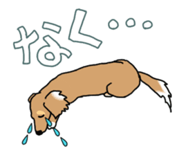 Miniature Dachshund COOKIE sticker #13541941