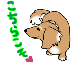 Miniature Dachshund COOKIE sticker #13541945