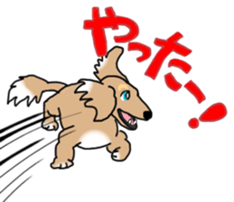 Miniature Dachshund COOKIE sticker #13541946