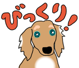 Miniature Dachshund COOKIE sticker #13541949