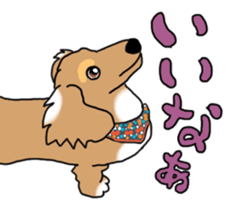 Miniature Dachshund COOKIE sticker #13541951