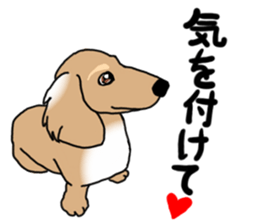 Miniature Dachshund COOKIE sticker #13541952