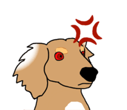 Miniature Dachshund COOKIE sticker #13541954