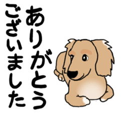 Miniature Dachshund COOKIE sticker #13541957