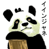 Long ear Pandason sticker #13542159