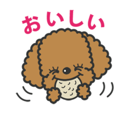 Toypoodle tomboy Coco sticker #13544446