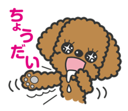 Toypoodle tomboy Coco sticker #13544449