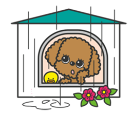Toypoodle tomboy Coco sticker #13544462