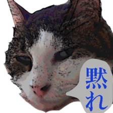 Cat's dialogue sticker #13544749