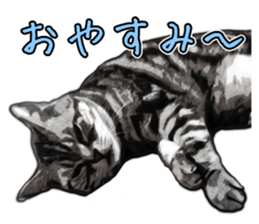 John is the cat of someone's home sticker #13545146