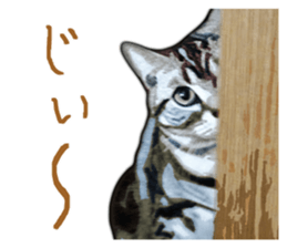 John is the cat of someone's home sticker #13545148