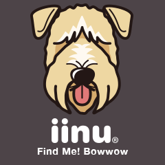 iinu - Irish Soft-Coated Wheaten Terrier