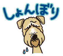 iinu - Irish Soft-Coated Wheaten Terrier sticker #13546477