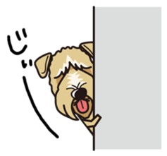 iinu - Irish Soft-Coated Wheaten Terrier sticker #13546489