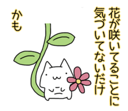 Cat seems to be saying Wise Saying 4 sticker #13546774