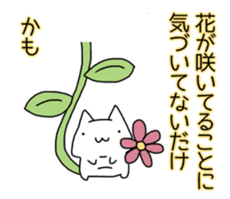 Cat seems to be saying Wise Saying 4 sticker #13546774