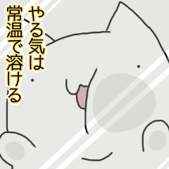 Cat seems to be saying Wise Saying 3