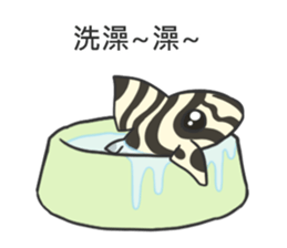 Pleco fish 2 sticker #13548247