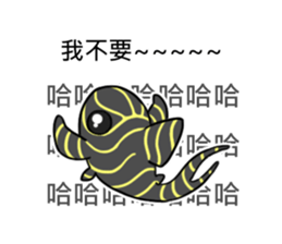 Pleco fish 2 sticker #13548253