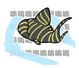 Pleco fish 2 sticker #13548255