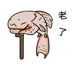 Pleco fish 2 sticker #13548274