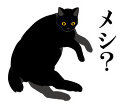 The frank and capricious black cat sticker #13550528