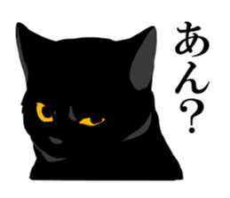 The frank and capricious black cat sticker #13550530