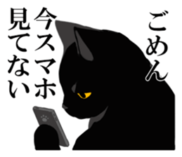 The frank and capricious black cat sticker #13550531