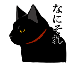 The frank and capricious black cat sticker #13550538