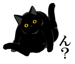 The frank and capricious black cat sticker #13550541