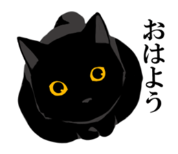 The frank and capricious black cat sticker #13550542