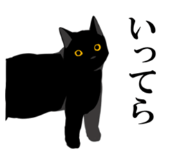 The frank and capricious black cat sticker #13550543