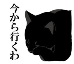 The frank and capricious black cat sticker #13550544