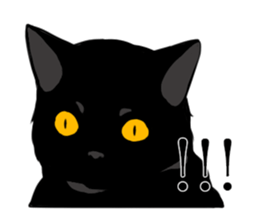 The frank and capricious black cat sticker #13550549