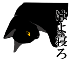 The frank and capricious black cat sticker #13550560