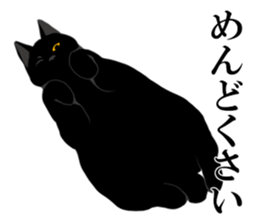 The frank and capricious black cat sticker #13550563