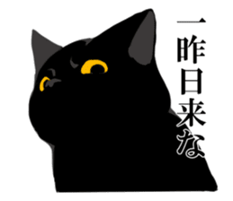 The frank and capricious black cat sticker #13550564