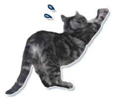 John is the cat of someone's home Part2 sticker #13551307