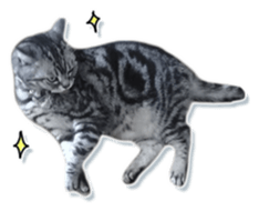 John is the cat of someone's home Part2 sticker #13551309