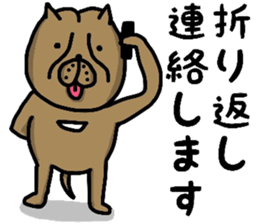OSAKA BONDO PITBULL sticker #13551623