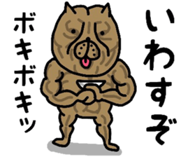 OSAKA BONDO PITBULL sticker #13551628