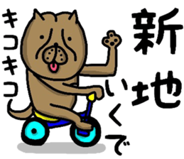 OSAKA BONDO PITBULL sticker #13551635